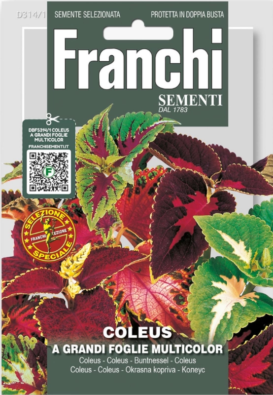 Koleus A Grandi Foglie Multicolor nasiona vis 0,8g FRANCHI nasiona sklep rajogrodnika